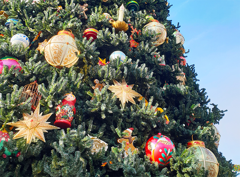 Due in Viaggio - L'albero di Natale perfetto