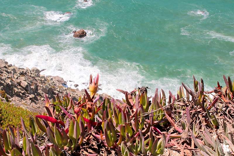 Cabo da Roca