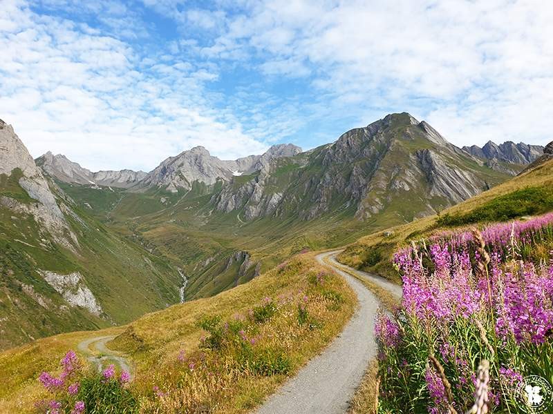 Col de Malatra