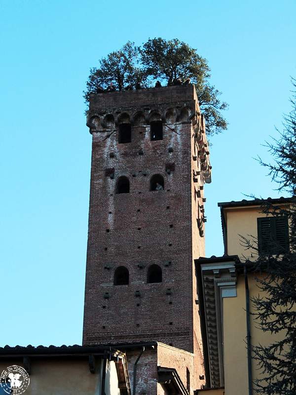 Lucca