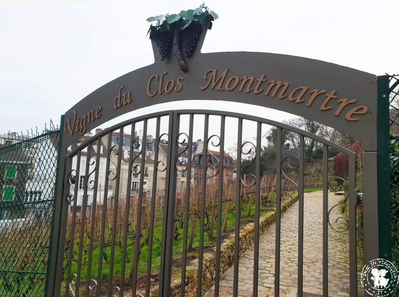 Vigne du Clos de Montmartre