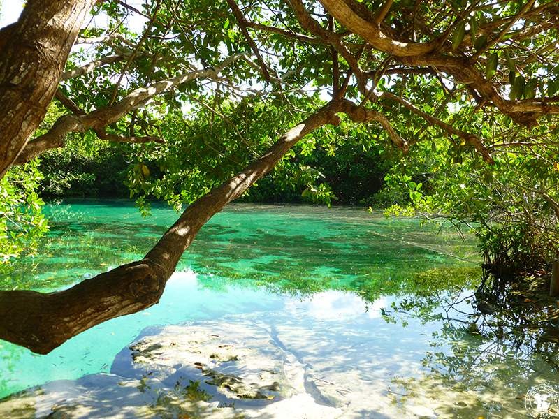 Cenote Messicano