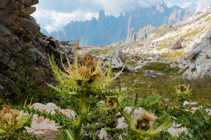 Tre Cime di Lavaredo