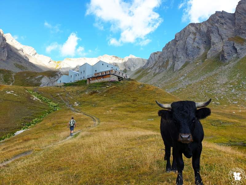 Col de Malatra