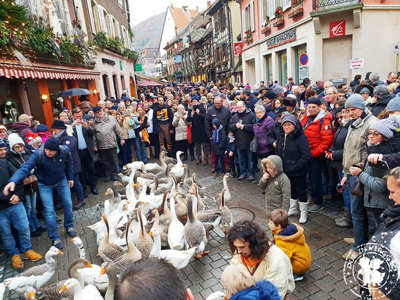 Mercatino di Natale di Ribeauville