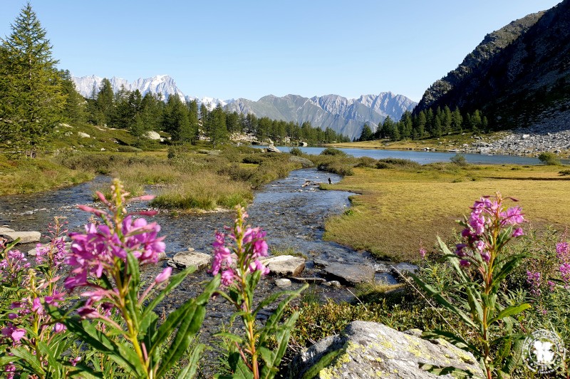 Lago d'Arpy