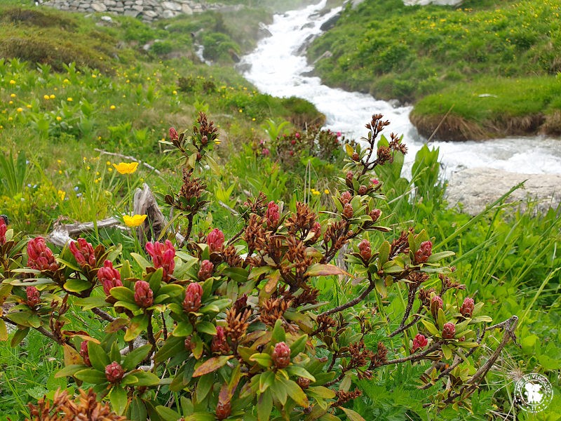 Rifugio Crete Seche